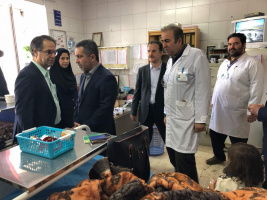 در سفر قبل ازظهر امروز معاون وزیر بهداشت انجام شد