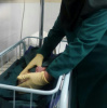 اولین نوزاد زایمان طبیعی در تسهیلات زایمانی اردبیل به دنیا امد.