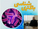 دعوت از عضو هیات علمی دانشگاه علوم پزشکی اردبیل جهت شرکت در جلسه هیات ممتحنه ارزشیابی و برنامه ریزی رشته باکتری شناسی ایران