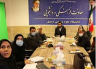 انتخابات شورای صنفی دانشجویان دانشگاه علوم پزشکی اردبیل به صورت مجازی برگزار می‌شود/ تمدید ۳ روزه مهلت ثبت نام در انتخابات