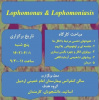 برگزاری کارگاه تخصصی لوفوموناس و لوفومونیازیس
