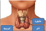 نکاتی در خصوص هفته تیروئید و غربالگری نوزادان