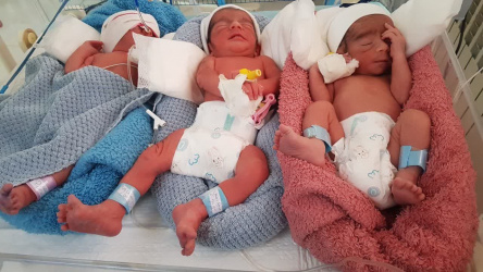 تولد نوزادان سه قلو در بیمارستان علوی اردبیل